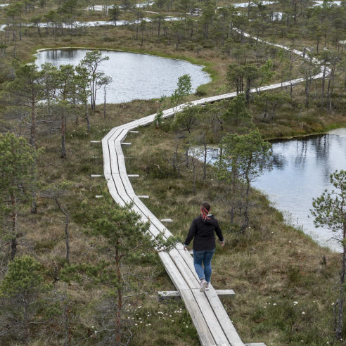 Mobirise